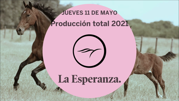 Lote COPADA GIRL (SUGGESTIVE BOY - CALORIA ROY)