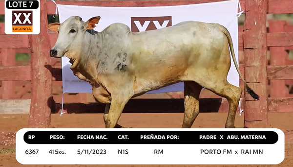 Lote LOTE 7