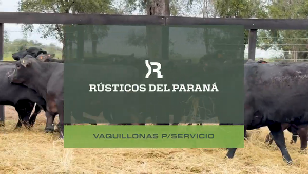 Lote VAQ. P/ SERVICIO GENERALES