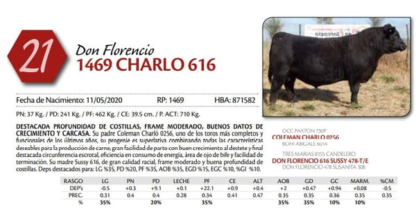 Lote TORO