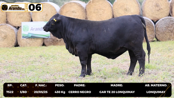 Lote LOTE 6