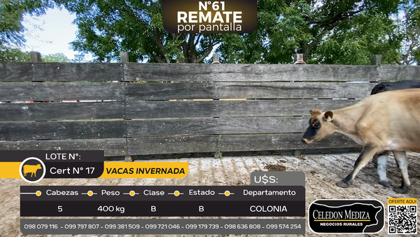Lote 5 Vaca en Paso Antolín, Colonia