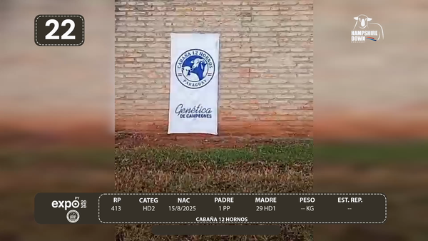 Lote LOTE 22 - CAMPO