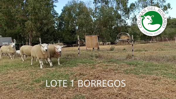 Lote Lote 1 - Colinas del Rosario