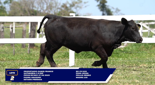Lote LOTE 2