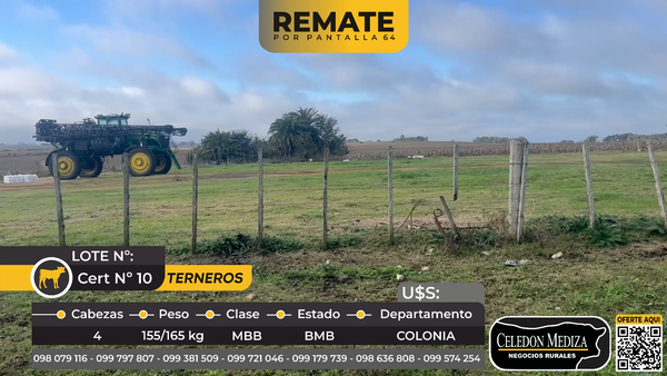 Lote 4 Terneros en Ruta 106 a 6 km de ruta 22, Colonia