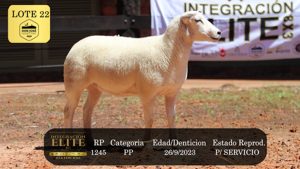 Lote LOTE 22