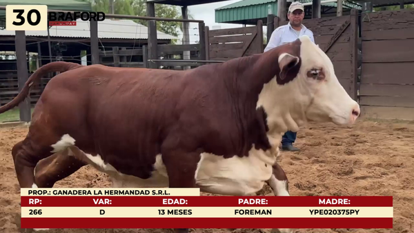 Lote LOTE 30