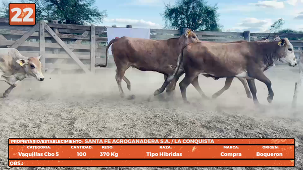 Lote LOTE 22