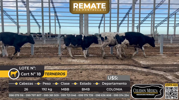 Lote 26 Terneros en Estanzuela, Colonia
