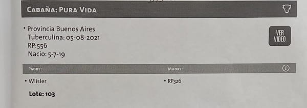 Lote Toro jersey pura vida 96 bis