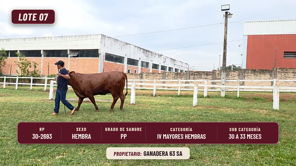 Lote LOTE 7
