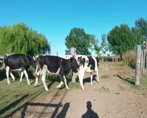 Lote Weigandt Jose Luis