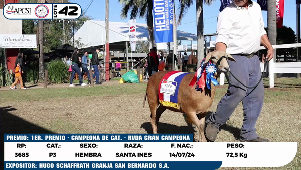 Lote LOTE 42