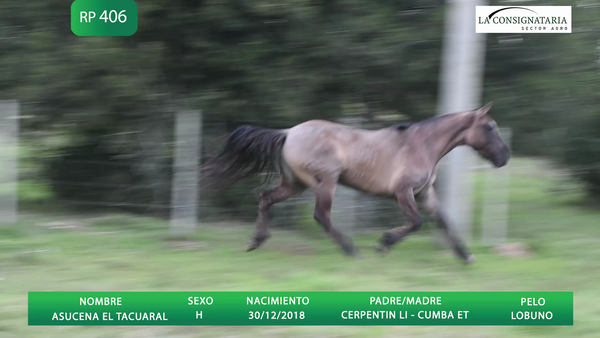 Lote ASUCENA EL TACUARAL