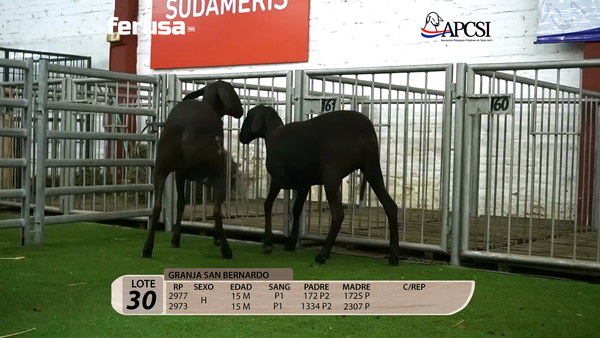 Lote Nacional Santa Inés Campo - Lote 30