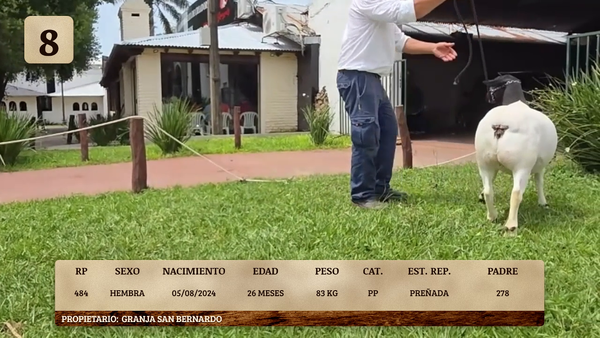 Lote LOTE 8