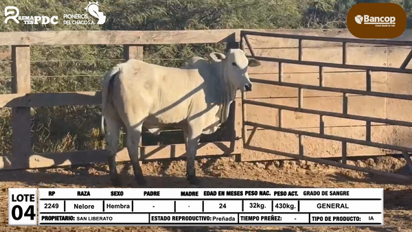 Lote Lote 4