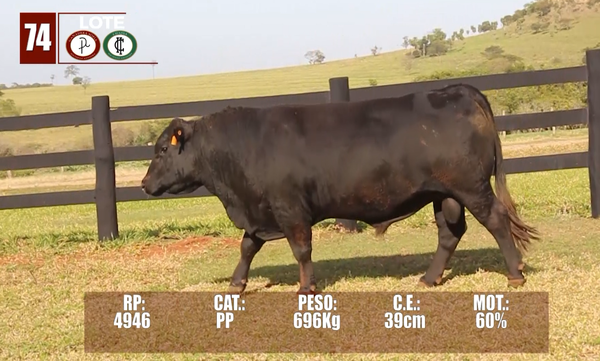 Lote Lote 74
