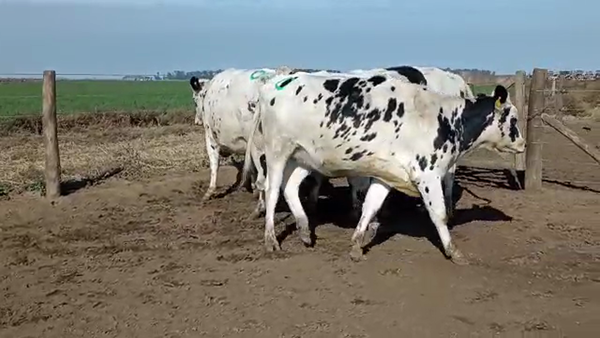 Lote Adeco Agropecuaria