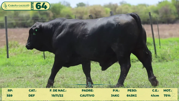 Lote LOTE 64