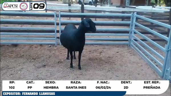 Lote LOTE 9