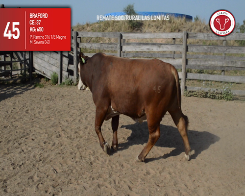 Lote CABAÑA "LA SEVERA" 45