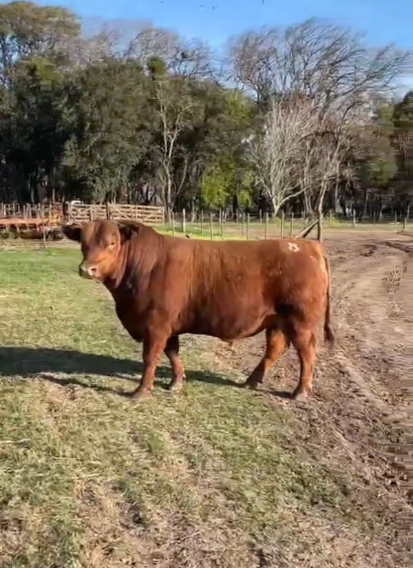 Lote CABAÑA DON TUCO
