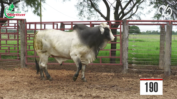 Lote Brahman