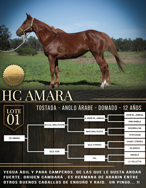Lote HC AMARA
