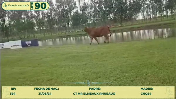 Lote LOTE 90