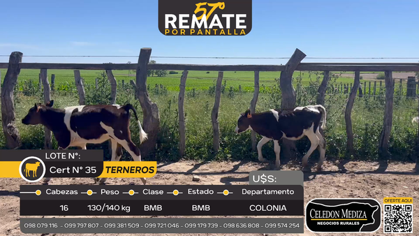 Lote 16 Terneros en Mevir San Pedro, Colonia