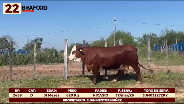 Lote LOTE 22 - VAQUILLAS DE CAMPO