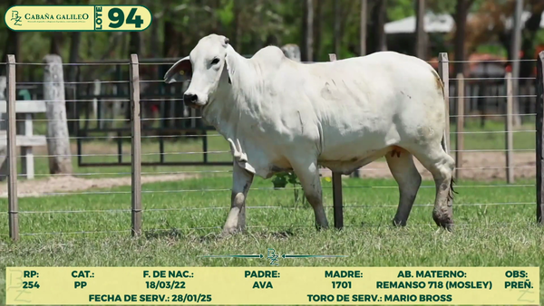 Lote LOTE 94