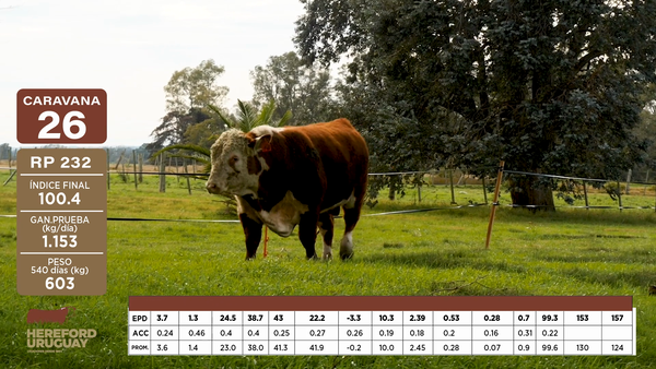 Lote Caravana 26 "DANIELA RIVA"