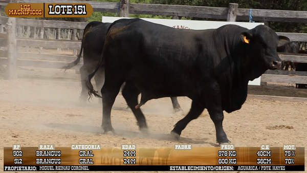 Lote LOTE 151 - PANTALLA
