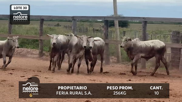 Lote LOTE 30