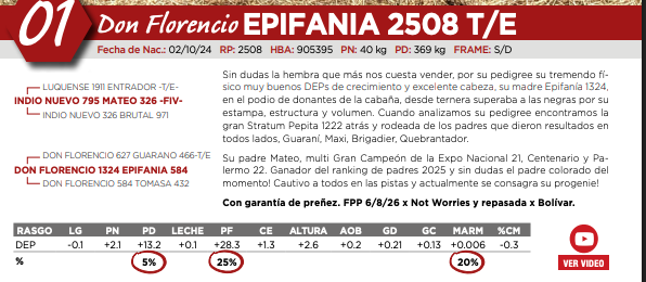 2508 — HEMBRAS