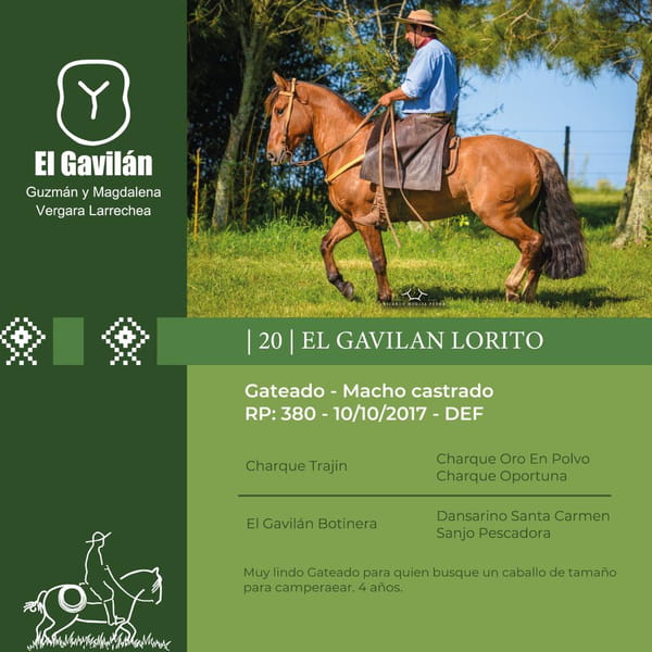 Lote El Gavilán Lorito (RP 380) Cabaña "El Gavilán"