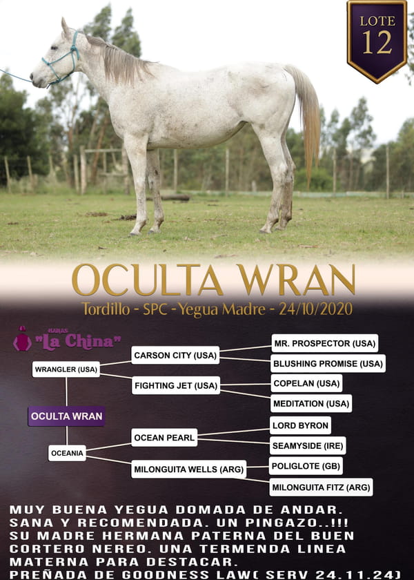 Lote OCULTA WRAN