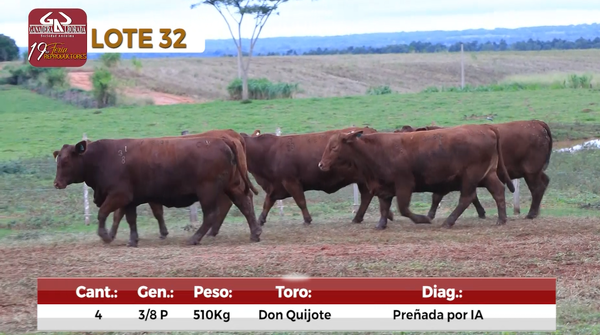 Lote Reproductores de Alborada - Lote 32