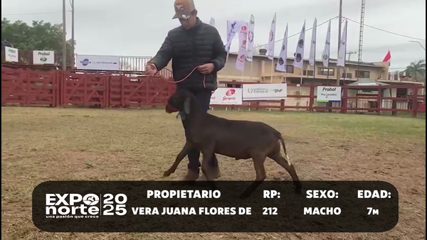 Lote RP 212,