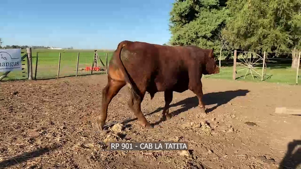Lote RP 901 LA TATITA