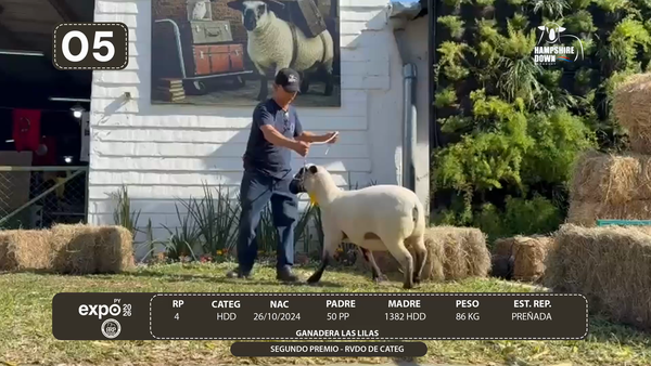 Lote LOTE 5 - BOZAL