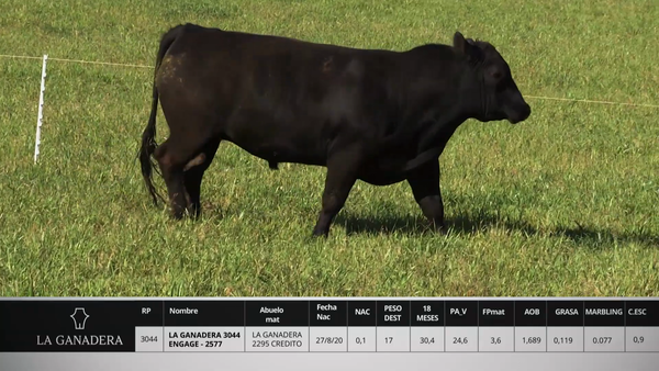 Lote LA GANADERA 3044 ENGAGE - 2577