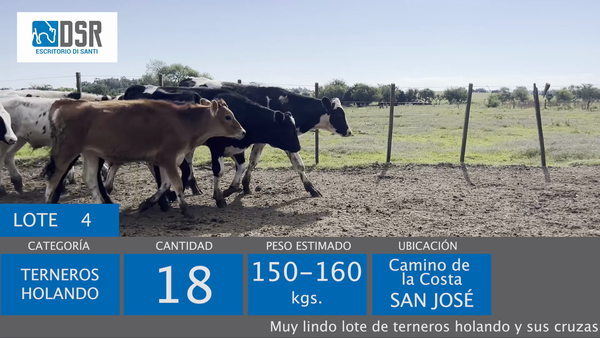 Lote 18 Terneros, Florida
