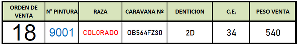 Lote Toro A. Colorado de 2 años.