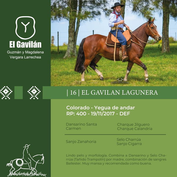 Lote El Gavilán Lagunera (RP 400) Cabaña "El Gavilán"