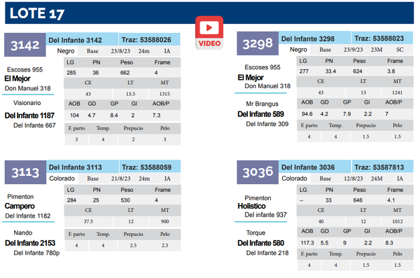 Lote Lote 17