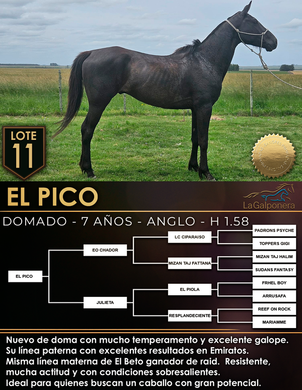 Lote EL PICO